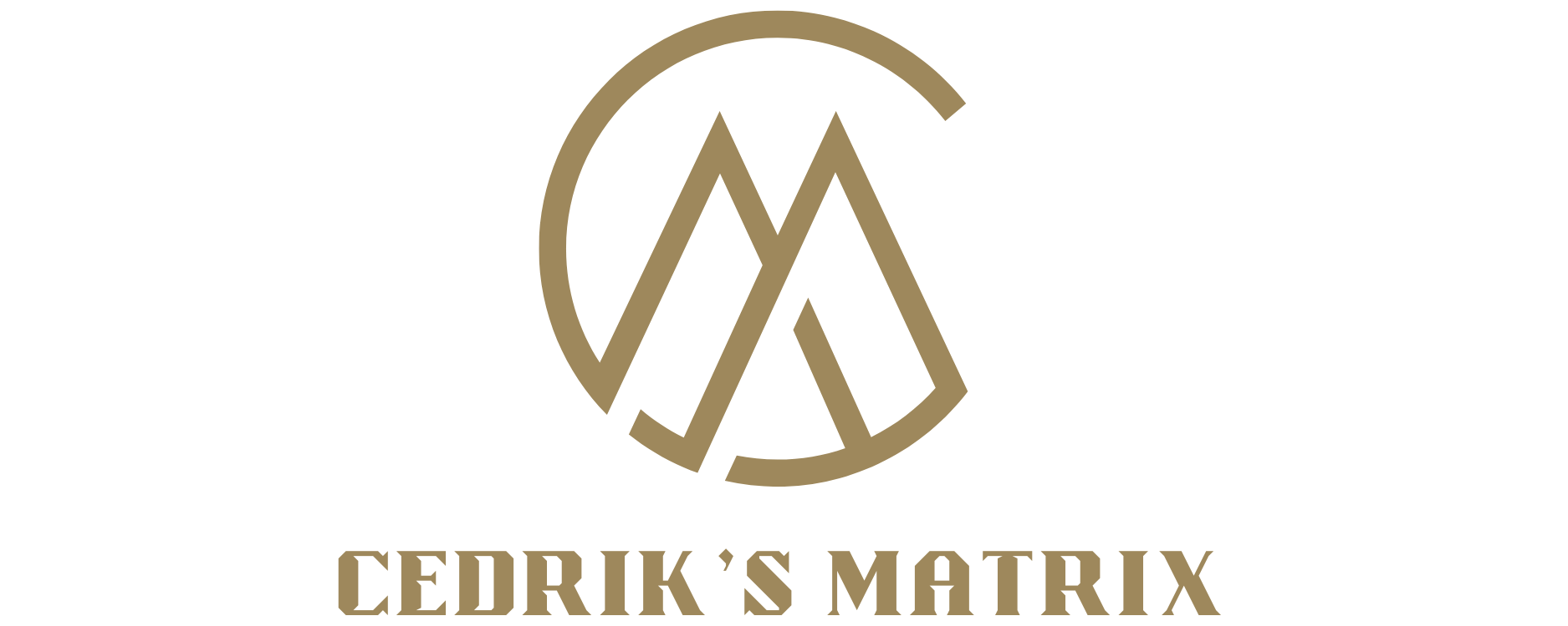 Cedrik's Matrix Digital Marketing Freelancer In Chennai